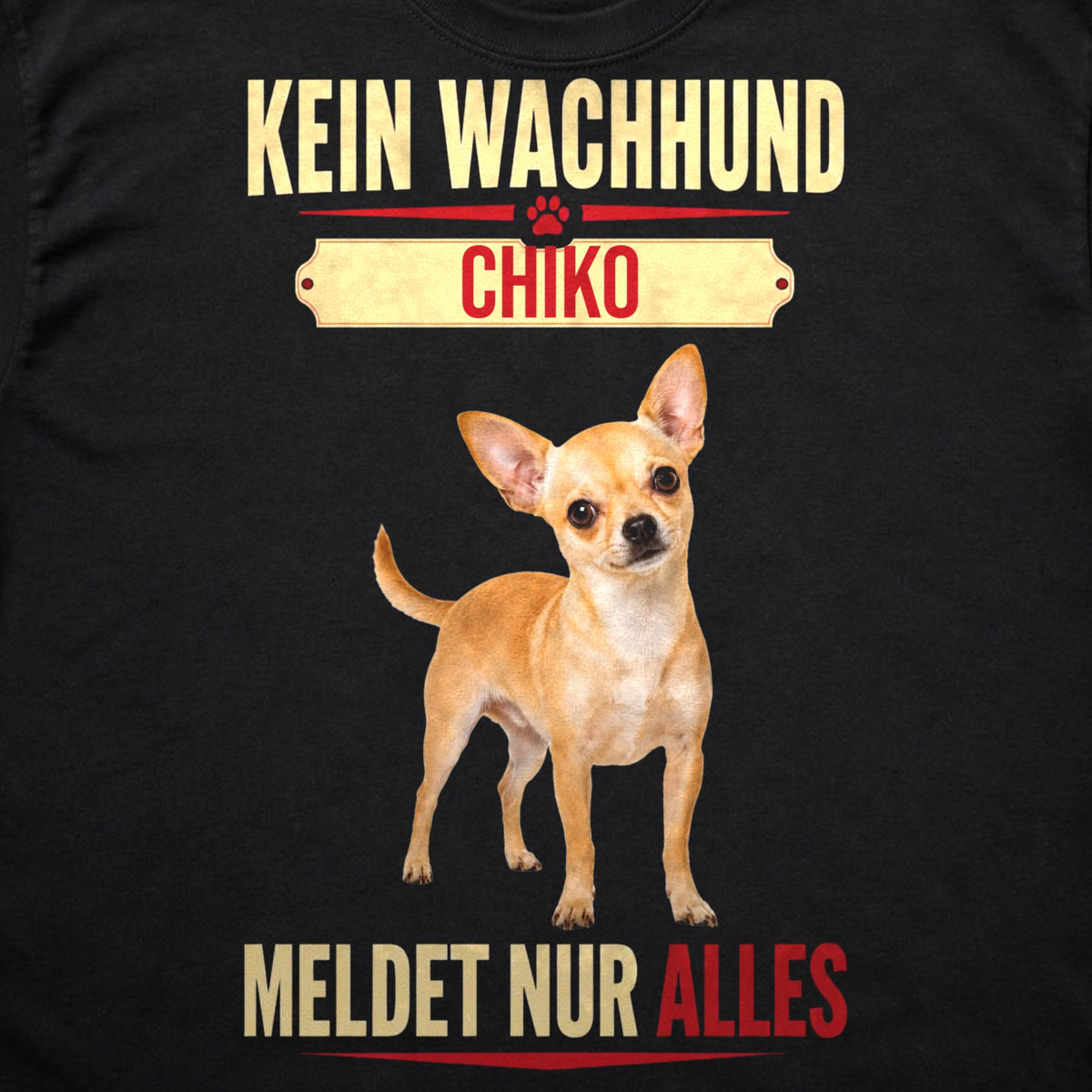 Schwarzes T-Shirt Kein Wachhund Chihuahua Nahaufnahme Flatlay